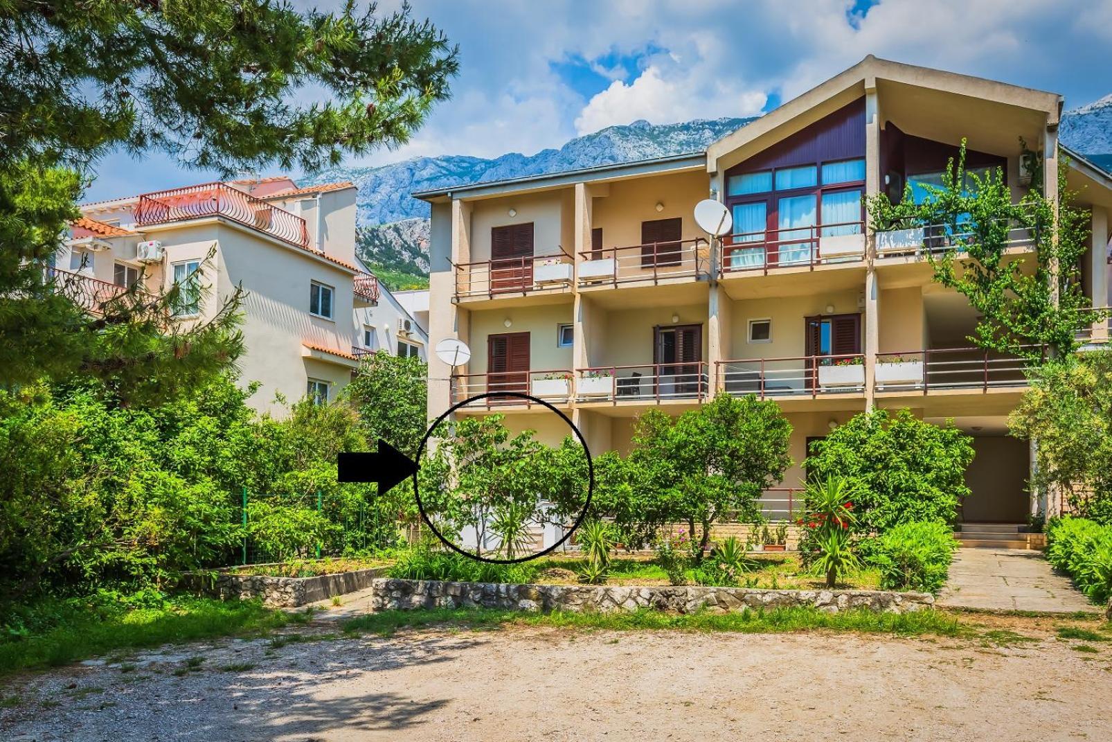 Apartments Agneza Tučepi Exterior foto